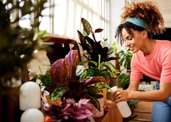 Errores comunes que cometemos al regar las plantas
