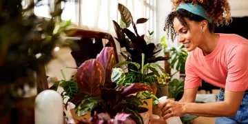 Errores comunes que cometemos al regar las plantas