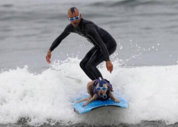 surfing