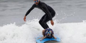 surfing