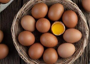 proteina del huevo en plan alimenticio