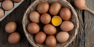 proteina del huevo en plan alimenticio