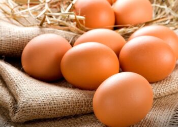 proteina de huevo