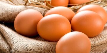 proteina de huevo